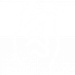 SNAP-ICON